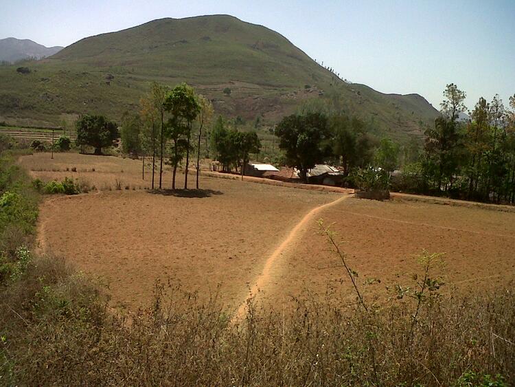 Way to the village Way to the village