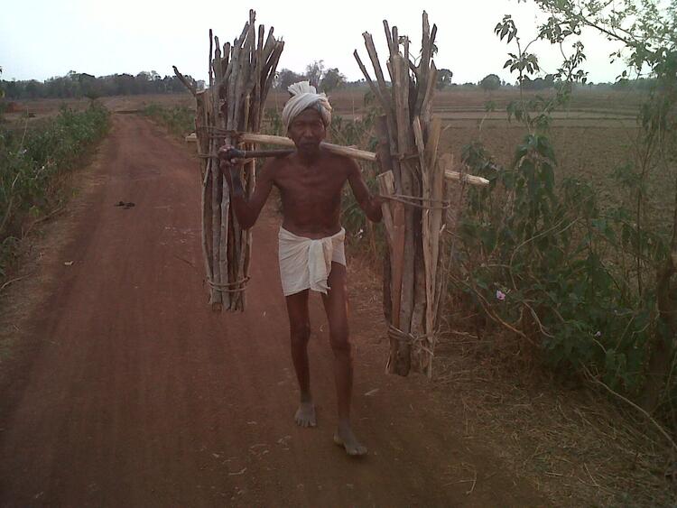 Carrying firewood Carrying firewood