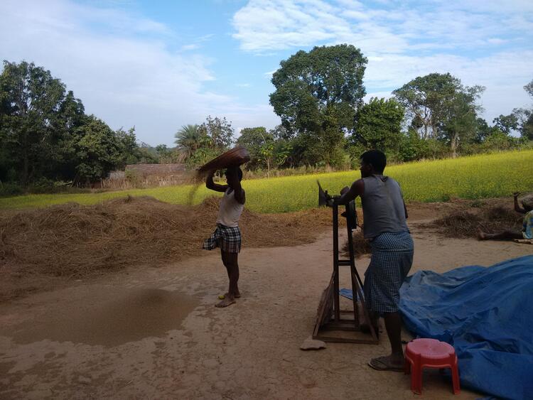 टूटीकतानो टूटीकतानो
